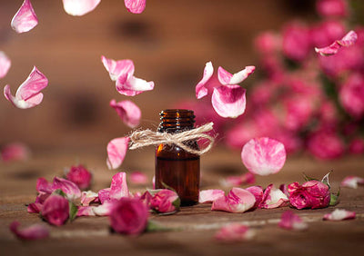 Rose Water for Hair & Scalp: 5 Benefits and How to Use It