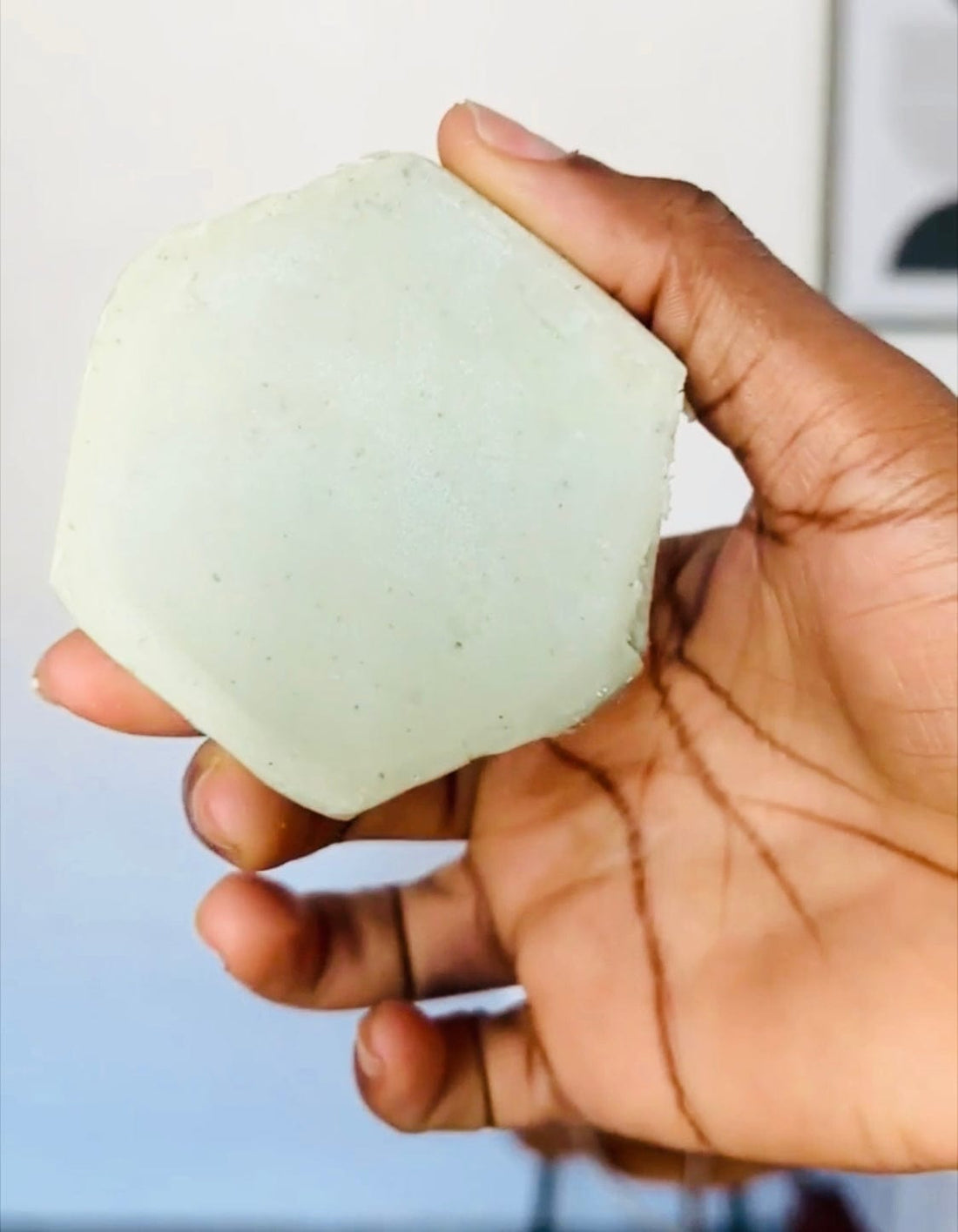 Limited-Edition Moringa &amp; Rosemary Growth Shampoo Bar
